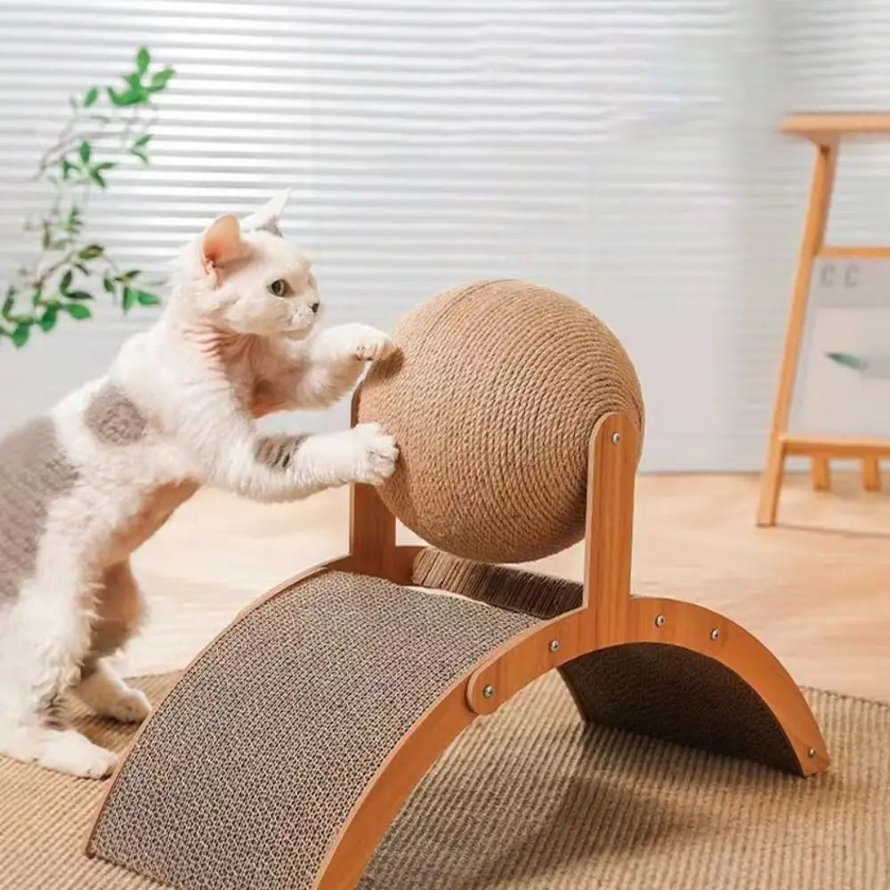 Rufus & Rotation